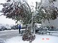 NJ_NY 234